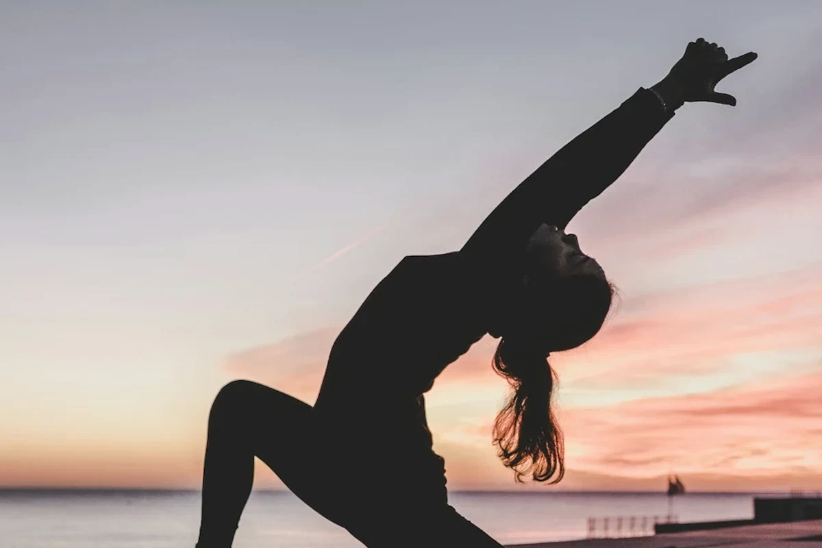 Wellness Nest Shilajit: What I Wanted to Know Before Trying the Mineral Resin Trend photographed in warm natural light